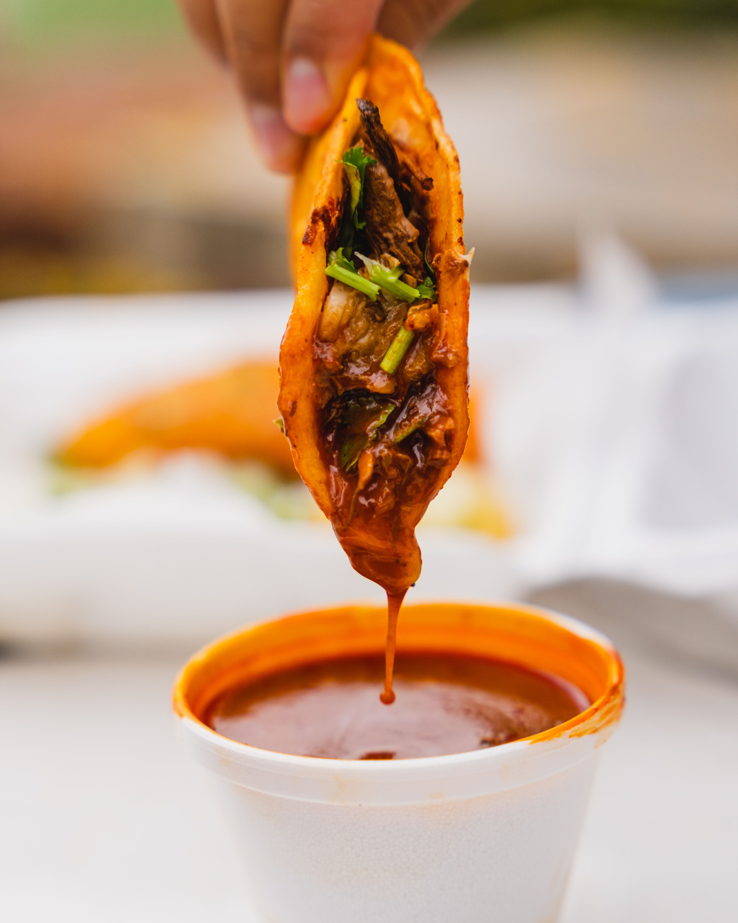 Vertical closeup of a birria taco being dipped into consome