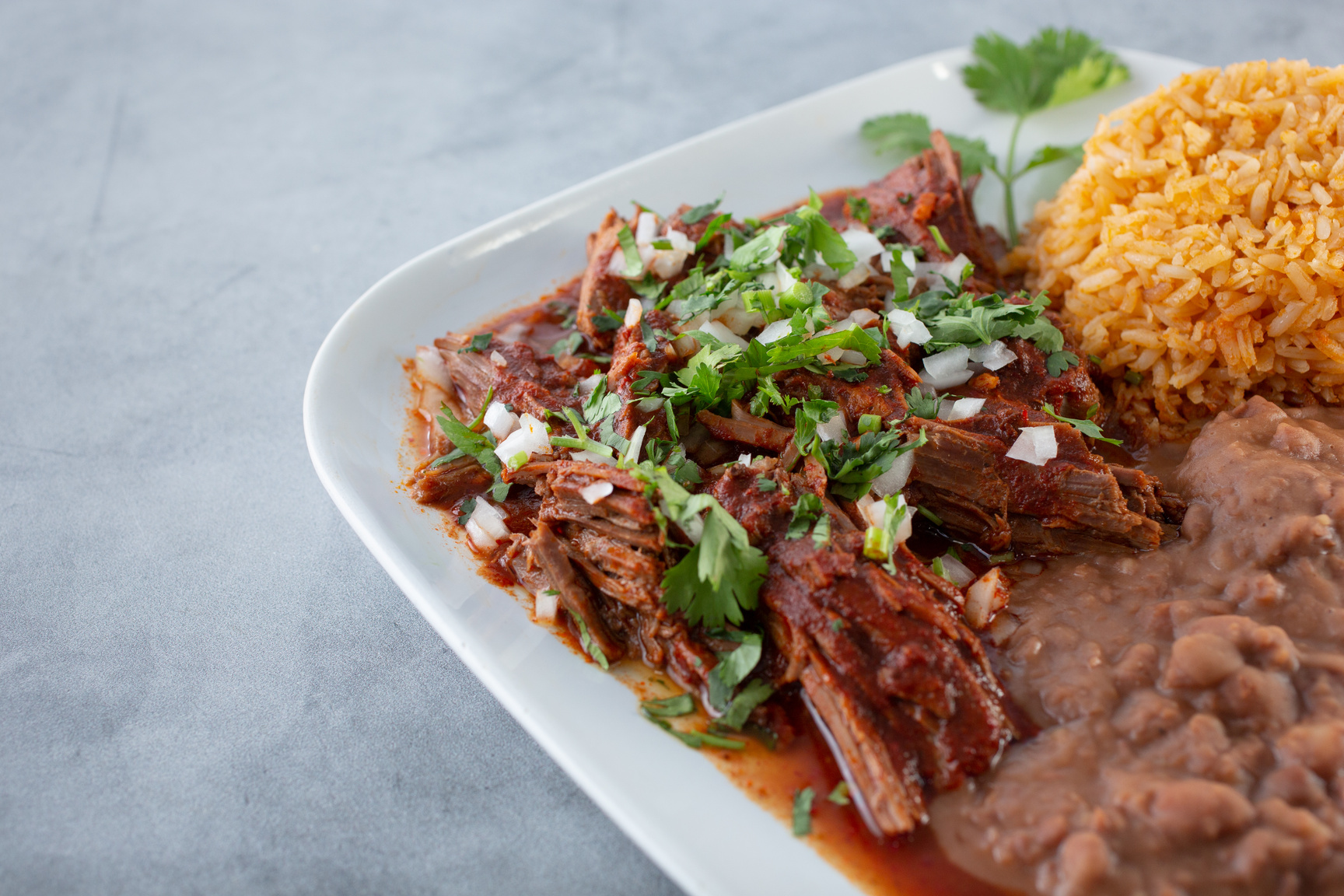beef birria plate
